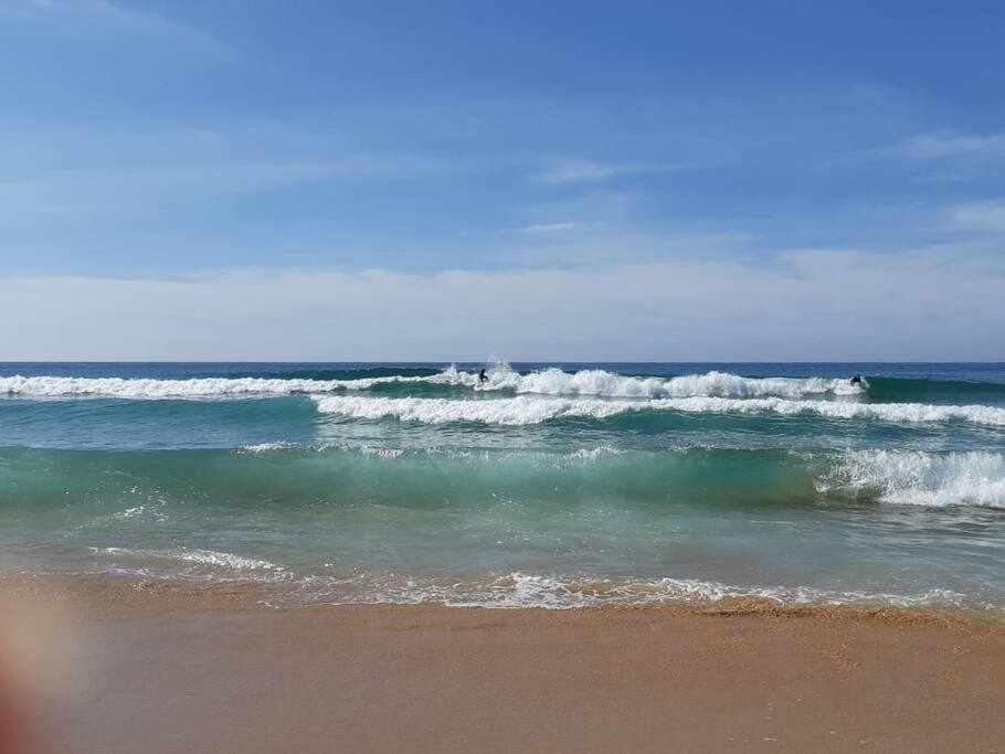 Apartamento A 150M De La Playa Wifi Gratis Dénia Extérieur photo